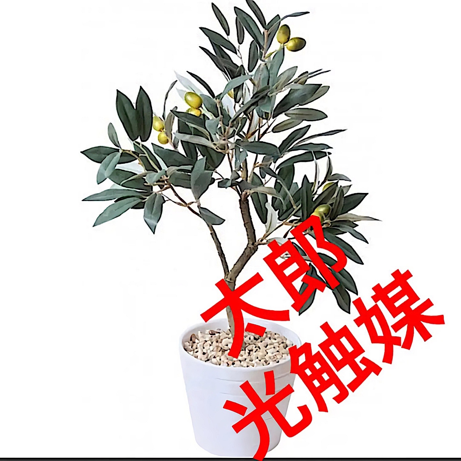 光触媒 人工観葉植物 ウォールグリーン フェイク フラワー オリーブ57 