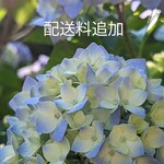 配送料追加　