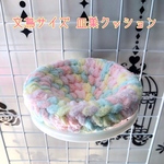 ✰皿巣掛け付き✰ 文鳥 皿巣 クッション  (コットンドリーム)