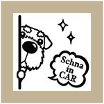 シュナ・チラリin carステッカー