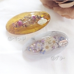 ꫛꫀꪝ [送料込み]  ドライフラワーclip 4.5cm 