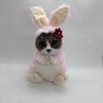 narumi-june様専用オーダーメイド　オルゴール♪ ピンクうさぎの着ぐるみ猫ちゃん🐱　わんちゃん🐶　