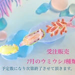 <ミニフィギュア>〜2022年7月の3種類〜受注販売