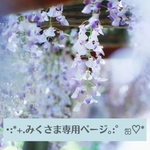 みくさま専用ページ
