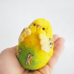 まんぷくインコ　セキセイインコ
