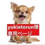 専用ページ