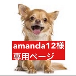 専用ページ