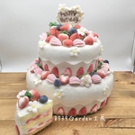 🍓🫐苺とブルーベリーの２段ケーキBIGサイズ染114