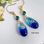 海辺のピアス /イヤリング   