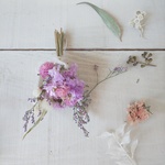 𖦞1600レビューThanks sale𖦞 ミニミニスワッグ 