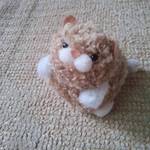 どっこいしょ！にゃんこ　ベージュ