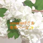 sawaran3さま専用ページ✨