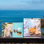 さちカレンダー2023＆島ねこ日めくり２ Sachi Calendar2023&Island cats Day to day Calendar Part2