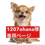 専用ページ