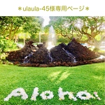 ＊ulaula-45様専用ページ＊. ハワイアン　ラウハラピアス　Kukunaシリーズ　（ナチュラル／イヤリング・金属アレルギー対応可)