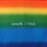 larimar様 ご予約品