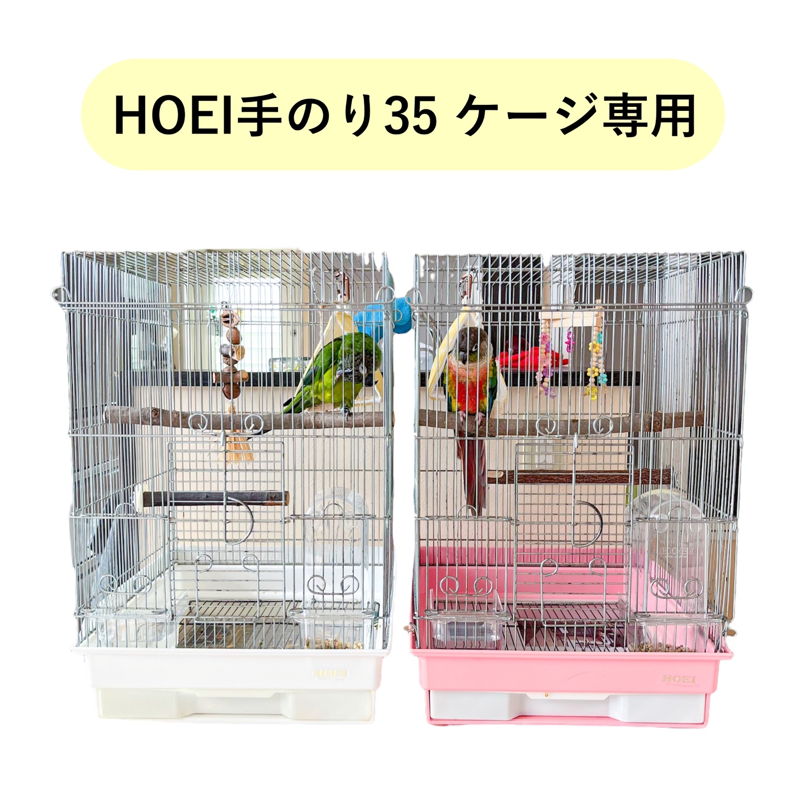 HOEI 365 オウム