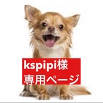 専用ページ