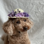 パープル💜麦わら帽子👒(大)