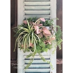 【ご予約品】リーフ・ハンギング　🌱 ͛.*観葉植物の壁掛け寄せ植え🌱 ͛.*⑥