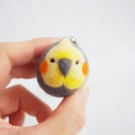 鈴ころインコ　オカメインコ
