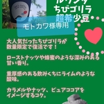 世界を旅するコーヒー　ちびゴリラ200グラム