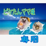 こちらはピケたんママ様専用