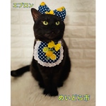 レモン✖️ドットエプロン、猫ちゃんの首輪