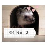 受付Ｎｏ．3様専用ページです✨