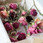 スプレーバラの DryFlower BOX（003）