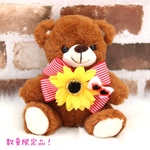 ひまわり🌻×ストライプビッグリボンシュシュ💖サングラス付き❣️レッド