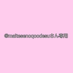 @maltesenoqoodesuさん専用
