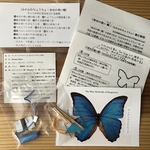 自由研究にも♪幸せの青い蝶 〜ふわふわ飛ぶ、紙のちょうちょの手作りキット〜