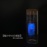 【瓶の中の白亜紀】