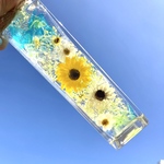 爽やか  ひまわりのハーバリウム  【細長瓶】