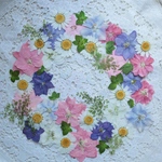 押し花千鳥草セット