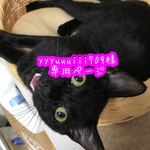 yyyuuuiii709様専用ページ