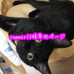 summer13様専用ページ