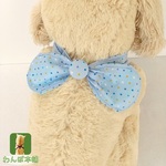 小さな星とブルーのクールネック バンダナ（星ボタンつき）犬用