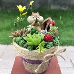 ★今だけ！限定価格！★送料無料★ ♡そのまま飾れる♡リメ鉢♬リスちゃんの多肉植物寄せ植え╰(*´︶`*)╯♡
