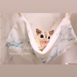 フクロモモンガ★ハンモック