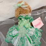 犬猫うさちゃん服　Green Green⭐︎レースワンピース