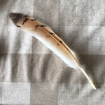 羽