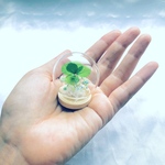 四つ葉のクローバーガラスドーム/プリザーブドフラワ/ギフトボックスリボンラッピング付き