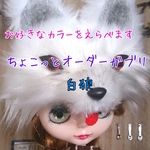 ガブリの民  白狼ちょこっとオーダーガブリ 