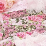 薔薇園OPPテープ　48mm🌹