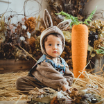 year of the rabbit's ear【BR】