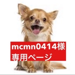 専用ページ