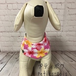 犬用クールバンダナ　保冷ポケット付き　ピンク プルメリア🌺ハワイアン生地