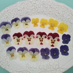 セール押し花素材664　ビオラのミックスセット　セール　花材　アソート
